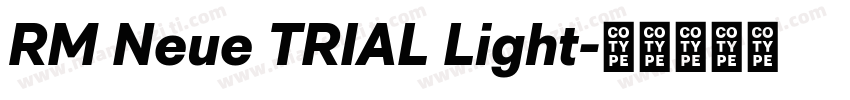 RM Neue TRIAL Light字体转换